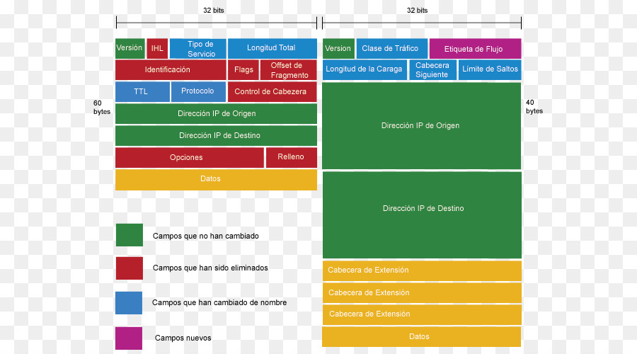 Diagramme De Protocole Réseau，Ip PNG