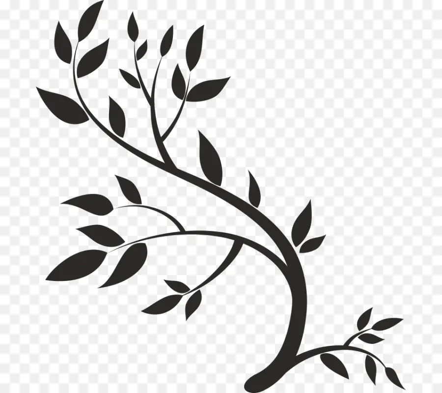 Silhouette De Plante，Feuilles PNG