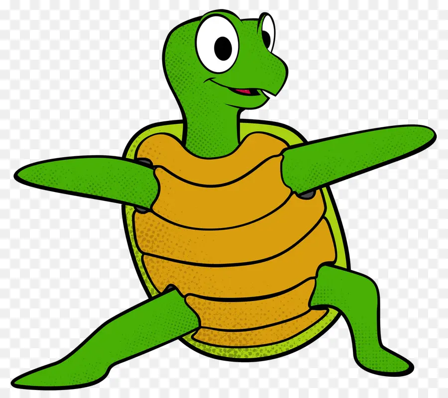 Tortue De Dessin Animé，Vert PNG