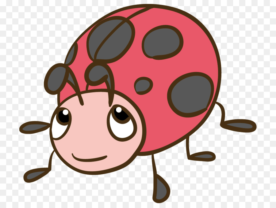 Coccinelle Mignonne，Bogue PNG