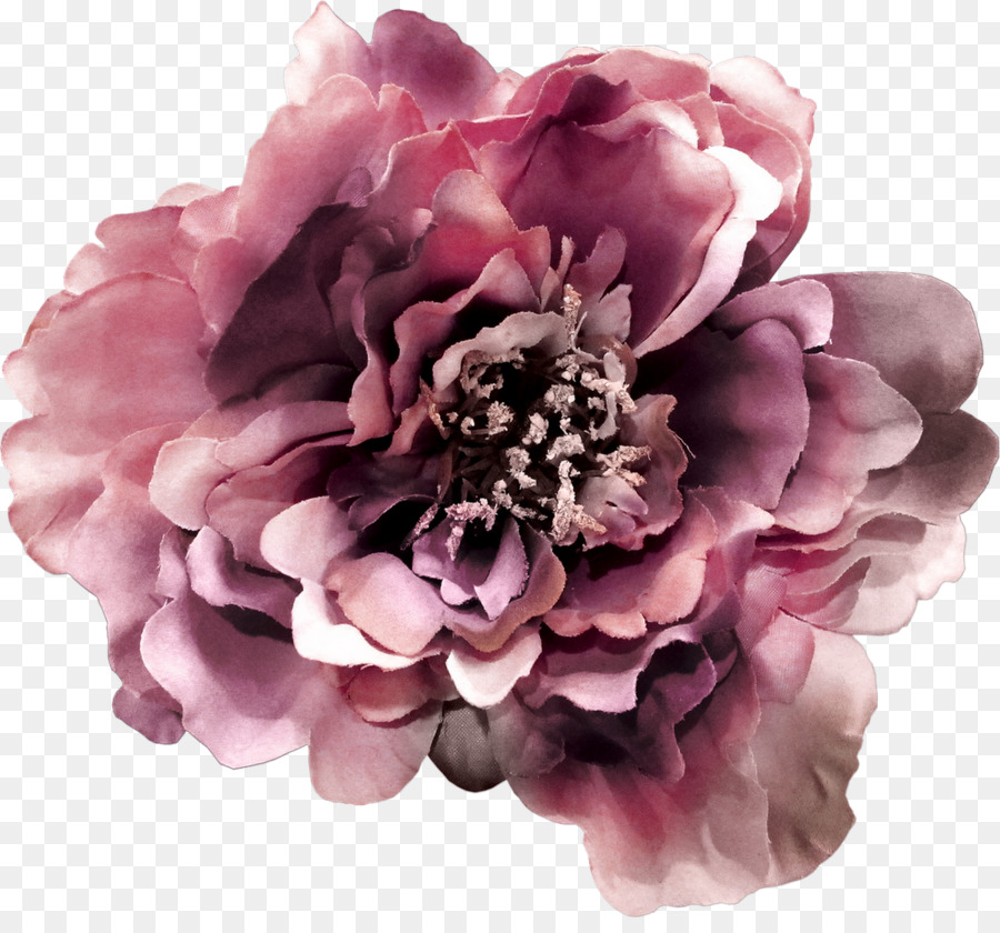 Fleur，Blog PNG