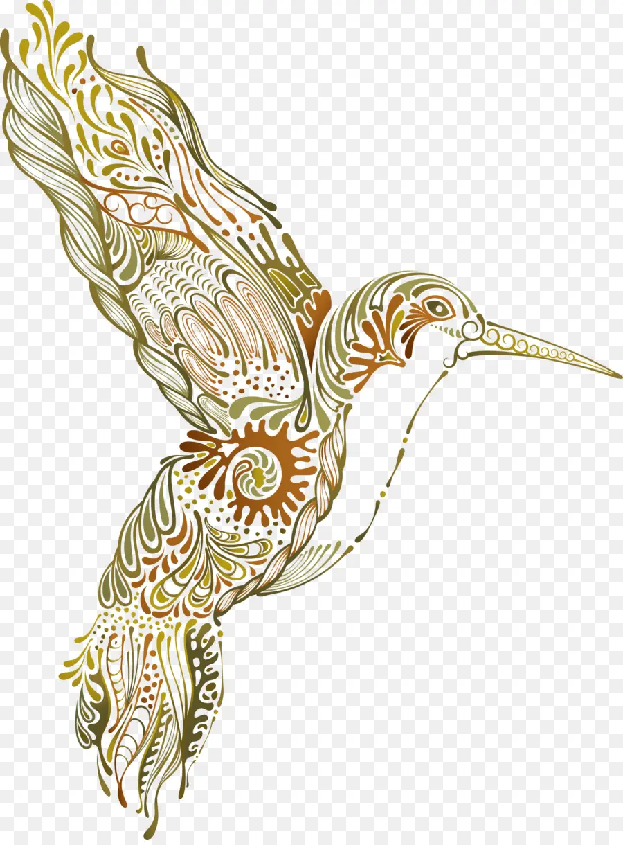 Oiseau Décoratif，Colibri PNG