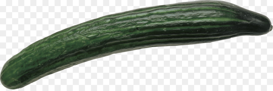 Courgettes，Légume PNG