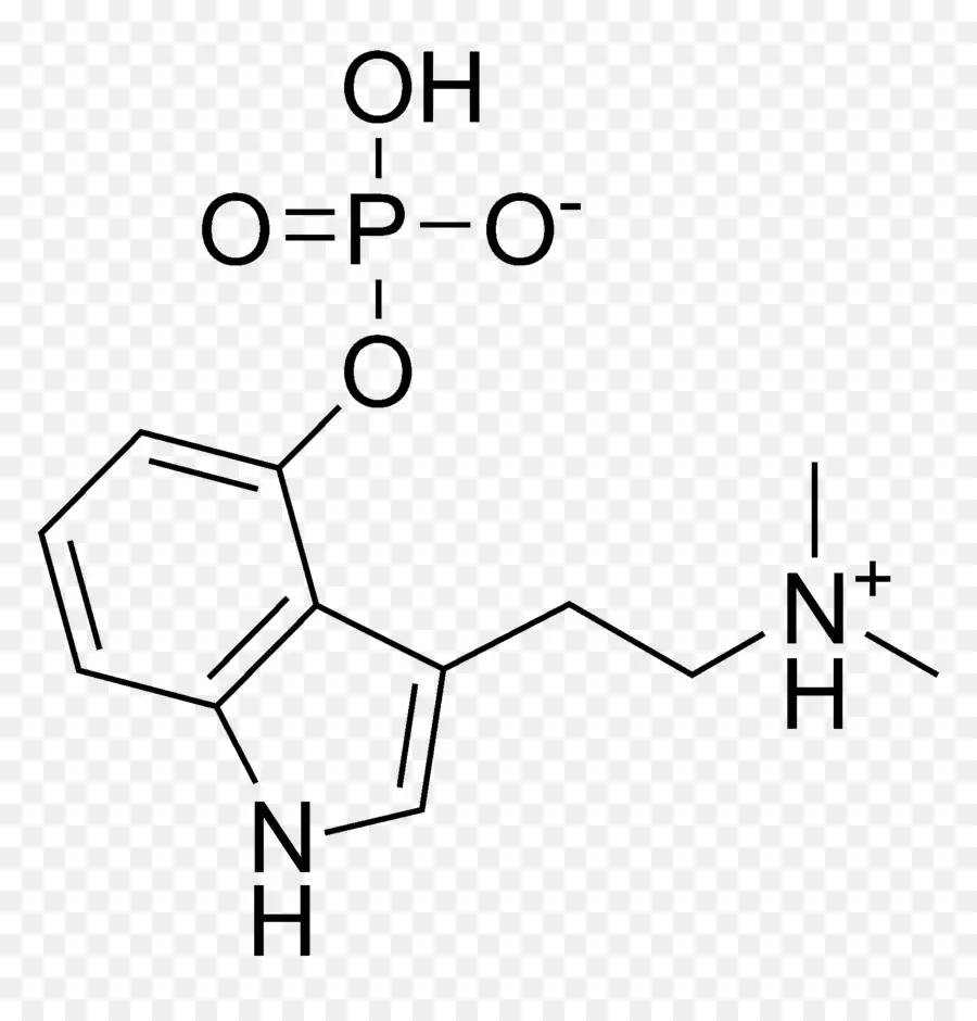 Structure Chimique，Molécule PNG