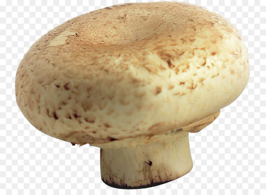 Champignon De Paris，Champignons PNG