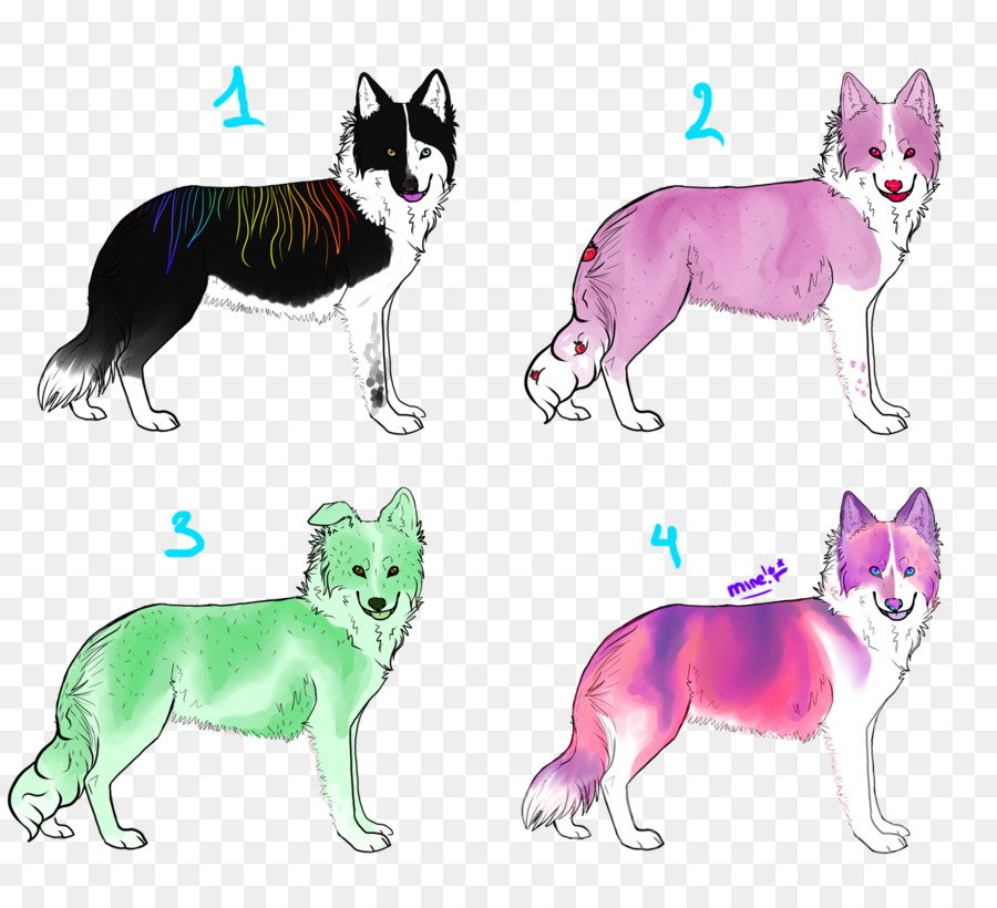 Chiens Colorés，Quatre PNG