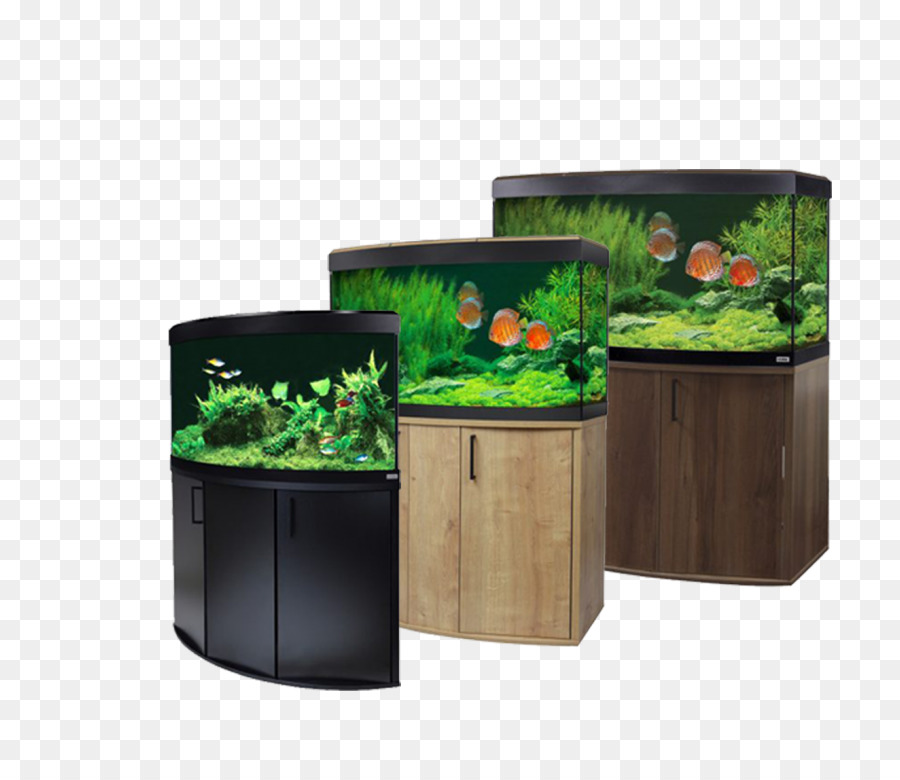 Aquarium，Les Aquariums PNG