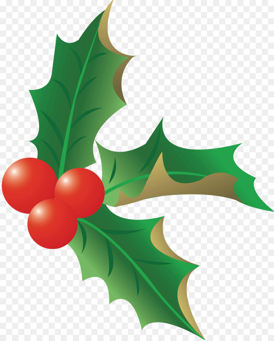 Noël，Sapin De Noël PNG