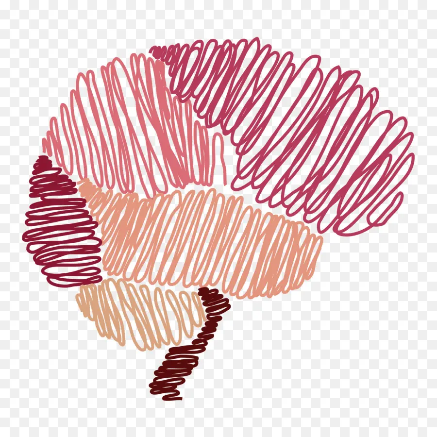 Cerveau，Dessin PNG