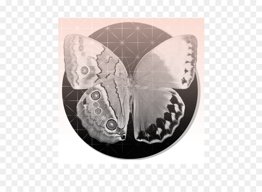 Papillon，Horoscope PNG