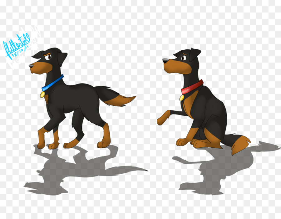 Dobermann，Pinscher PNG