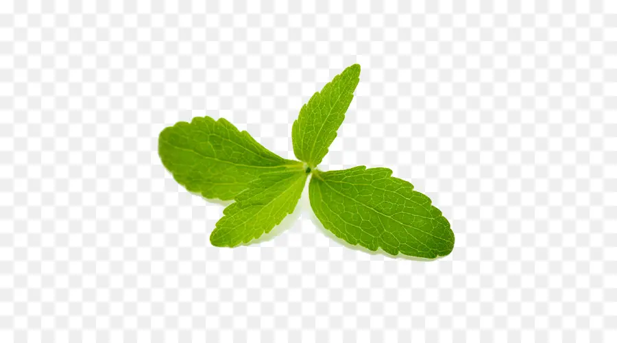 Menthe，Herbe PNG