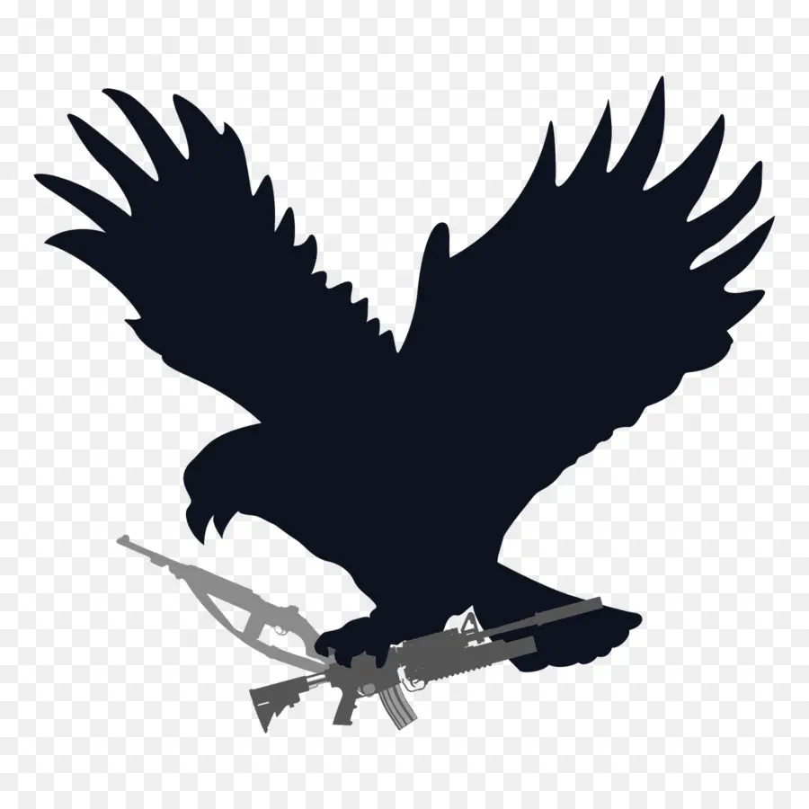 Aigle Avec Fusil，Oiseau PNG