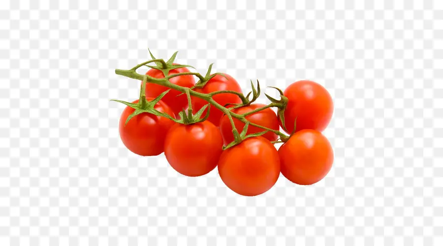 Tomate Cerise，Bruschetta PNG