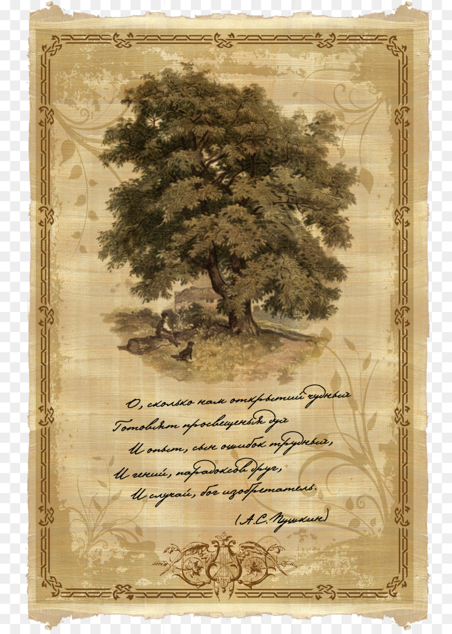 Illustration D'arbre Vintage，Arbre PNG