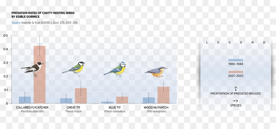 Oiseau，Le Changement Climatique PNG