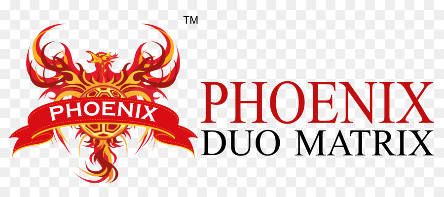 Logo，Phoenix Duo De La Matrice De Communication Privée à Responsabilité Limitée PNG