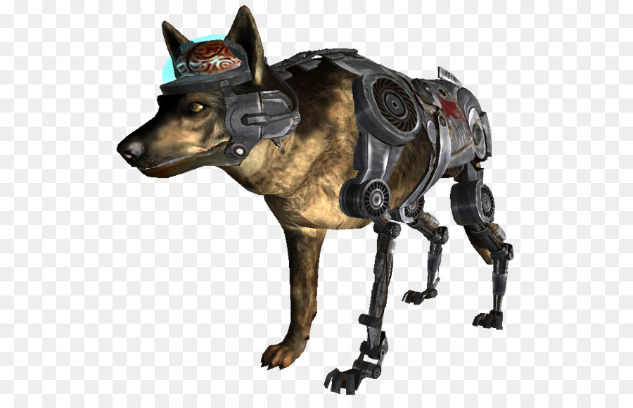 Chien Cyborg，Robot PNG