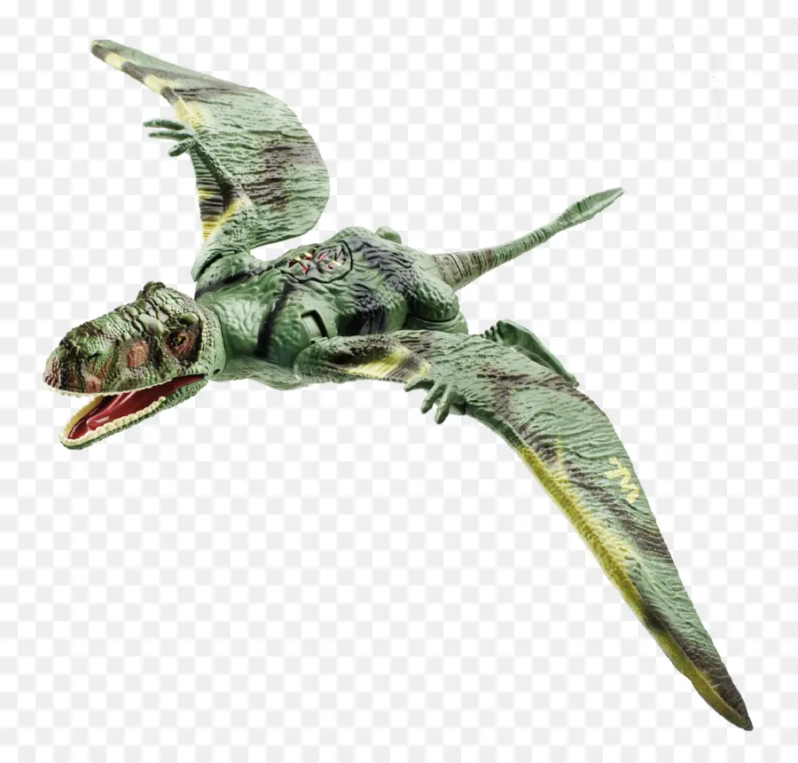 Dinosaure Volant，Ptérosaure PNG