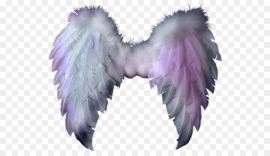 Ailes D'ange，Plumes PNG