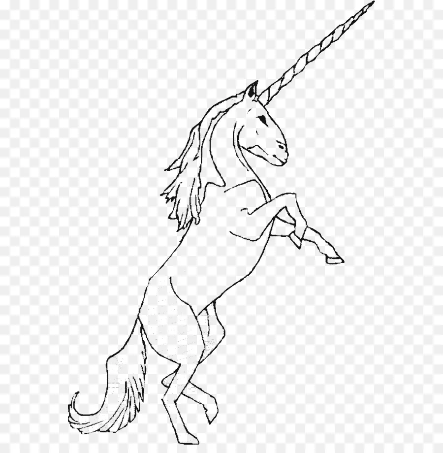 Contour De Licorne，Mythique PNG