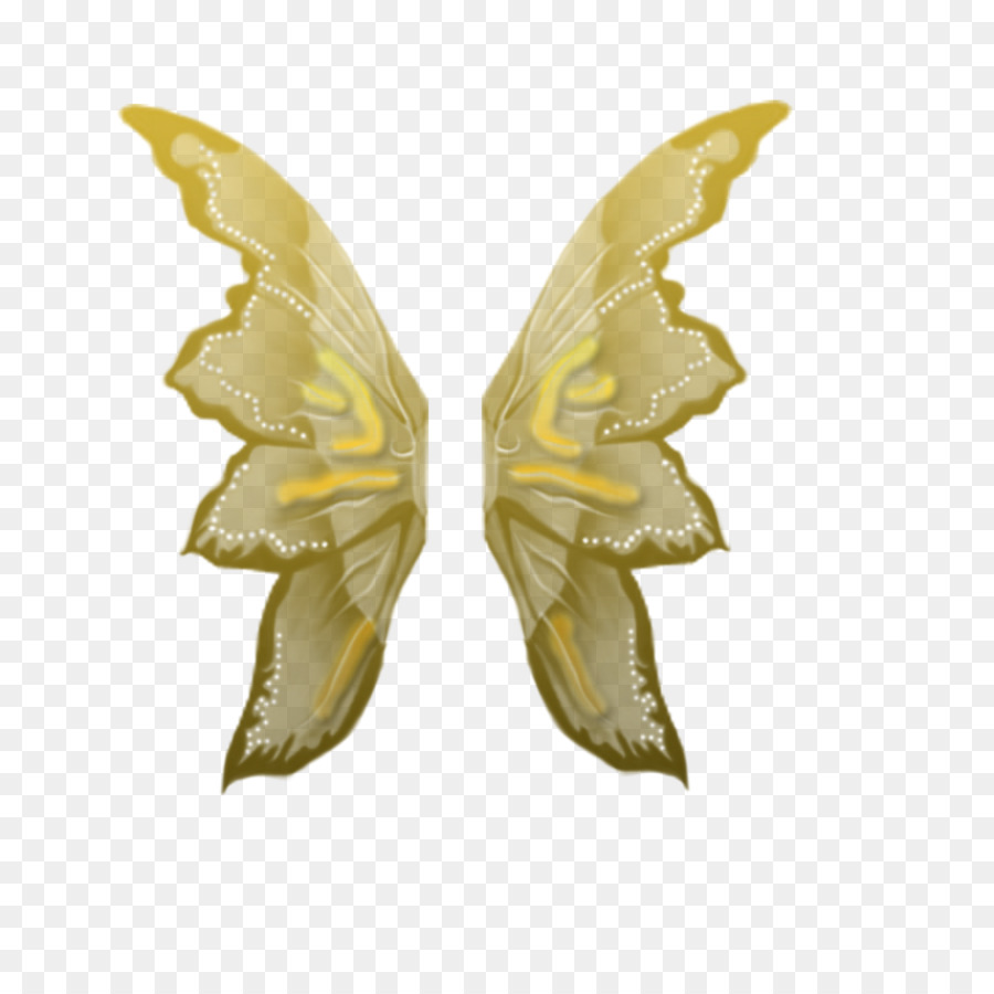 Ailes De Papillon，Insecte PNG