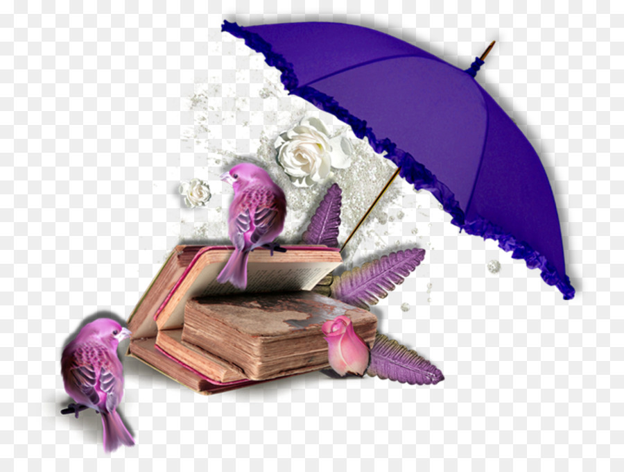 Parapluie Et Livres，Pluie PNG