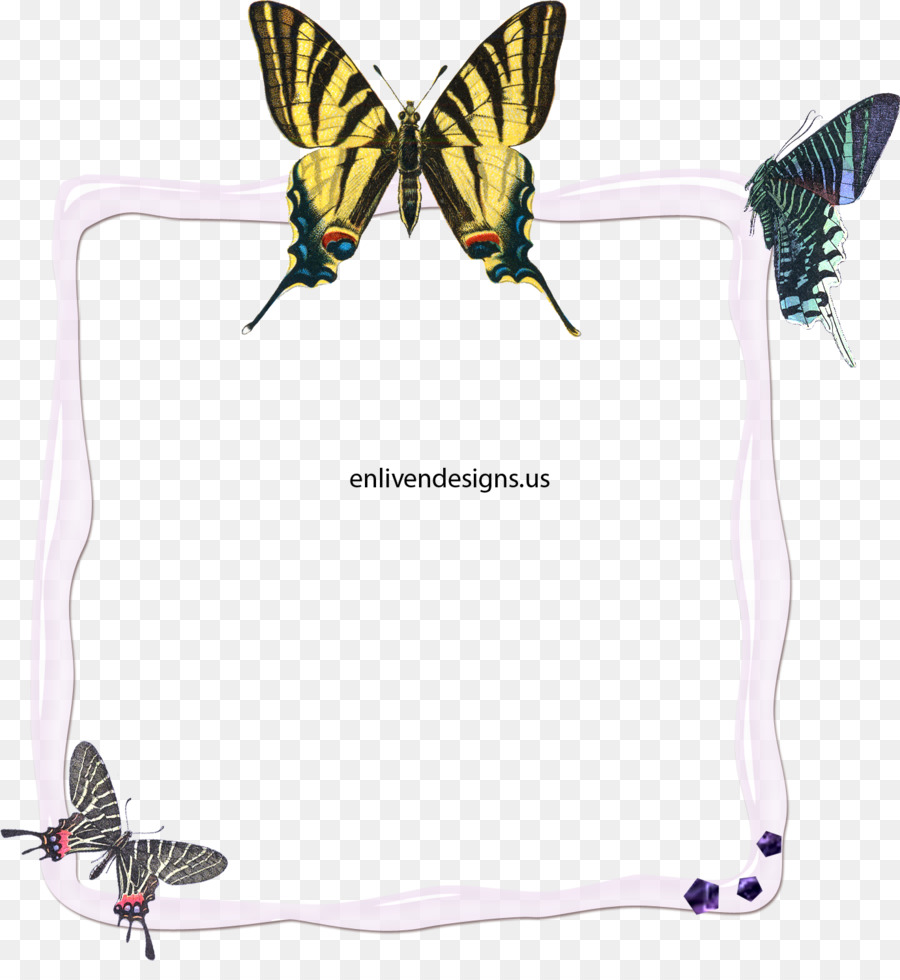 Papillon，Rares Machaon PNG