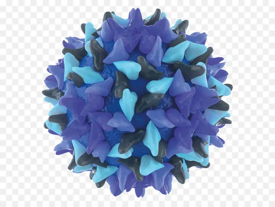 Virus，L Hépatite Virale PNG