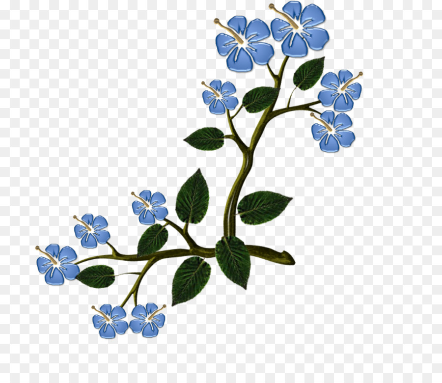 Fleur，Blume PNG