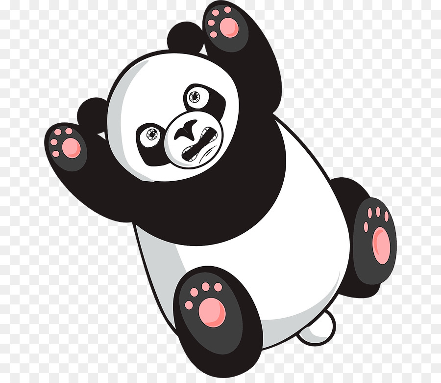 Panda Géant，Raiola Est En Charge Et De Ne Pas Le Panda PNG