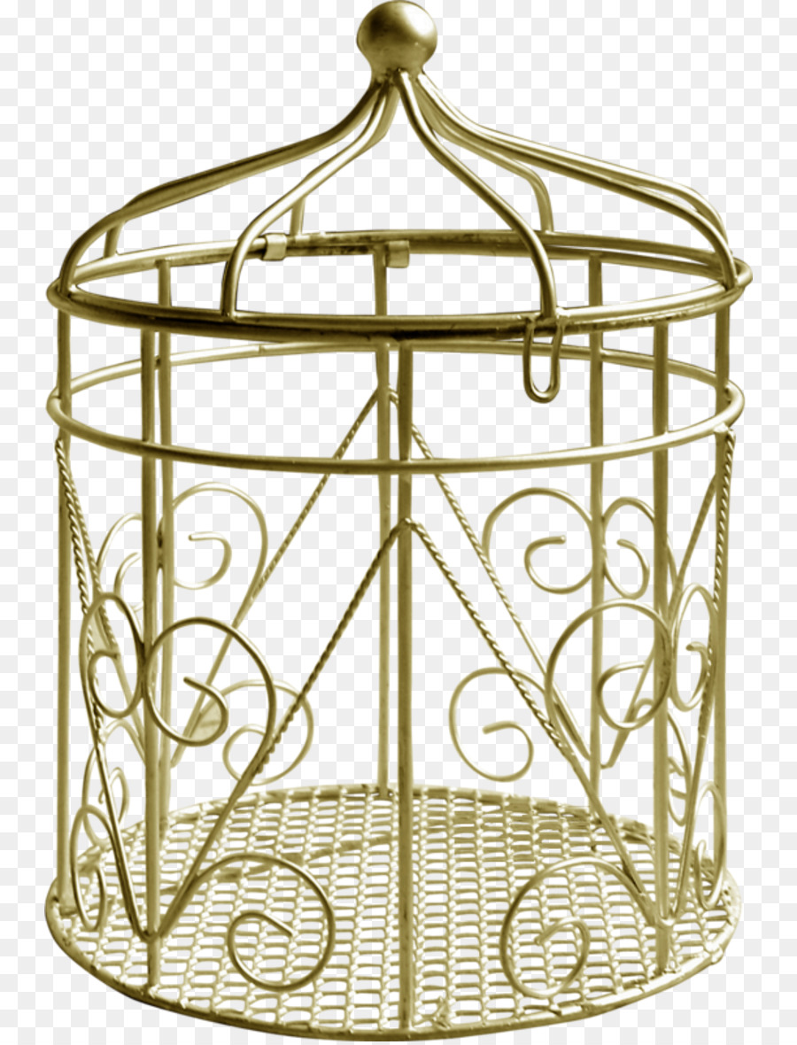 Oiseau，Cage PNG