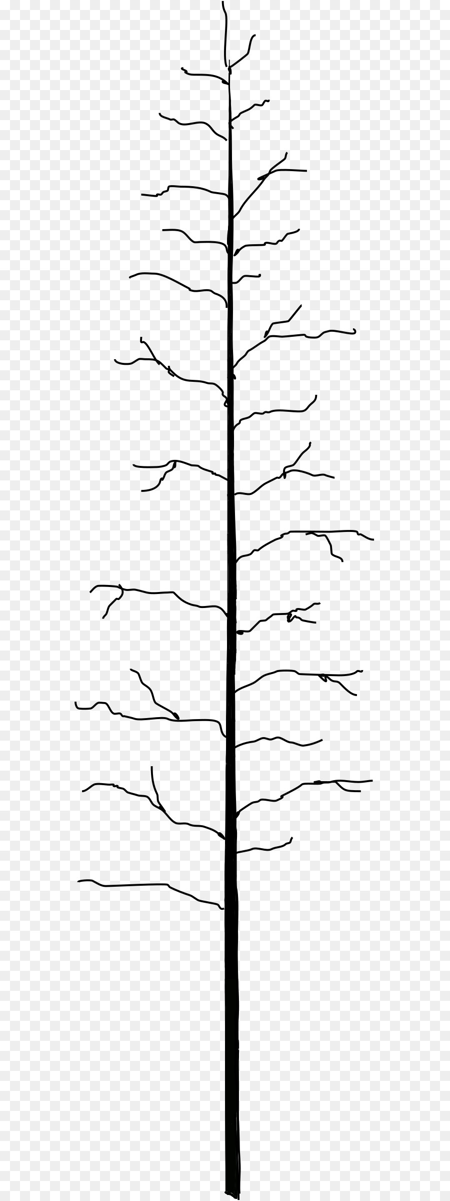 Arbre Nu，Bifurquer PNG