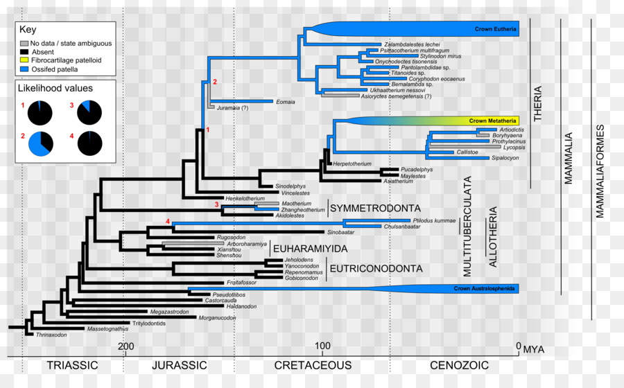 Schéma De Câblage，Diagramme PNG