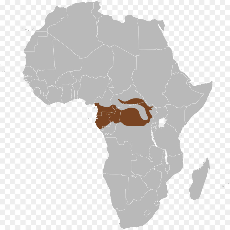 Éléphant De Savane D Afrique，L Afrique PNG