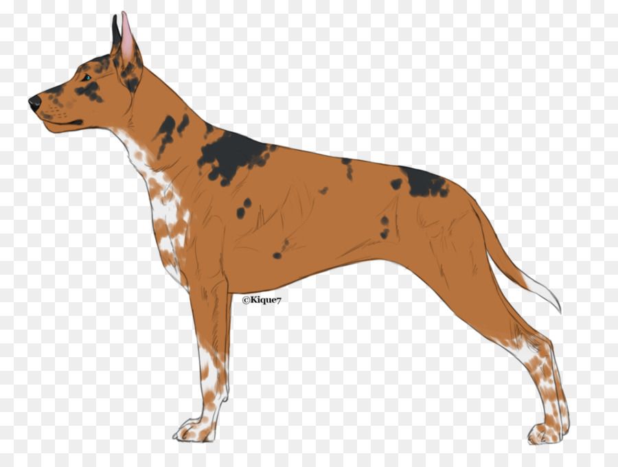 Chien，Animal De Compagnie PNG