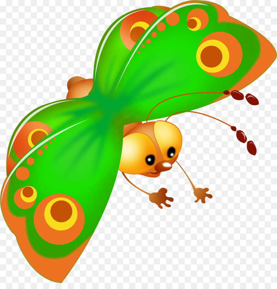 Papillon，Insecte PNG