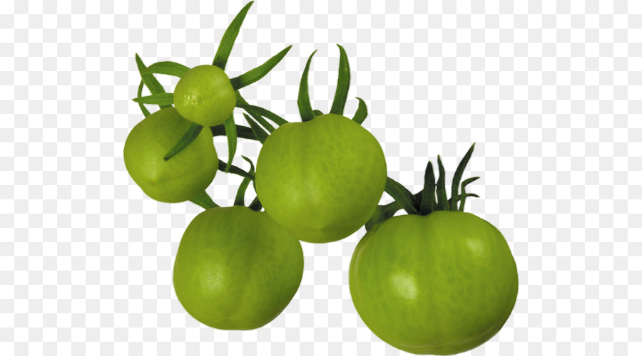 Tomate Verte，Vert PNG