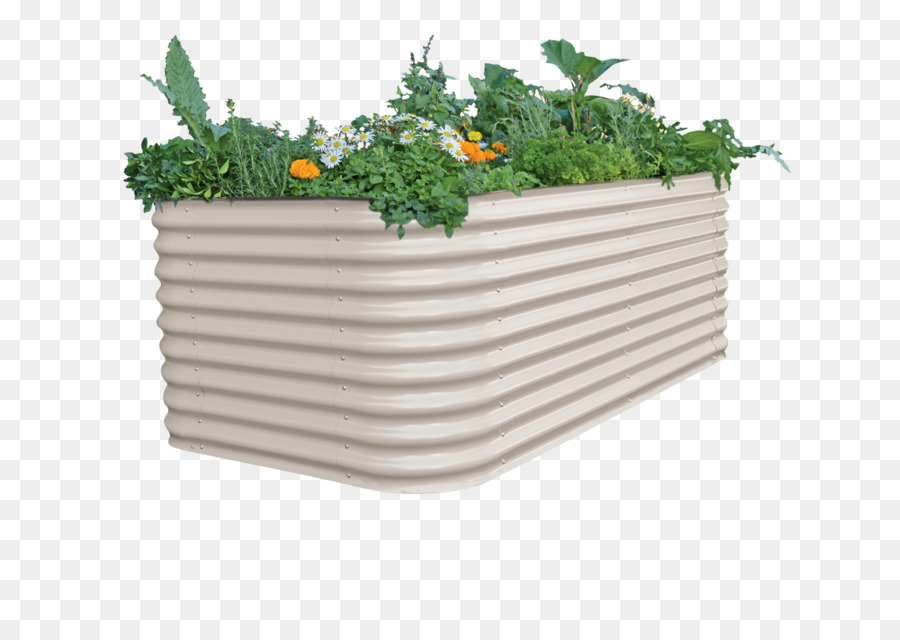 Raisedbed Jardinage，Jardinage PNG