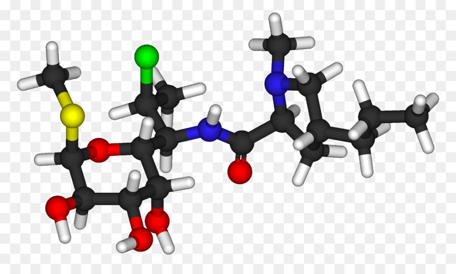 La Clindamycine，Les Antibiotiques PNG