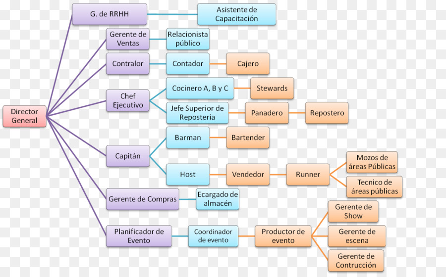 Organigramme，Hiérarchie PNG