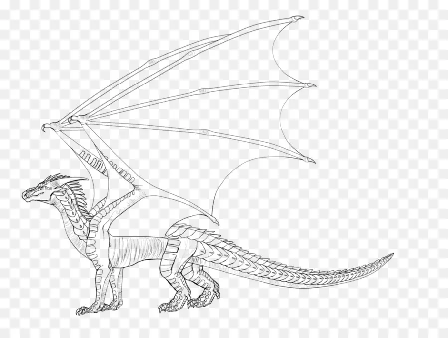 Dragon，Ailes PNG