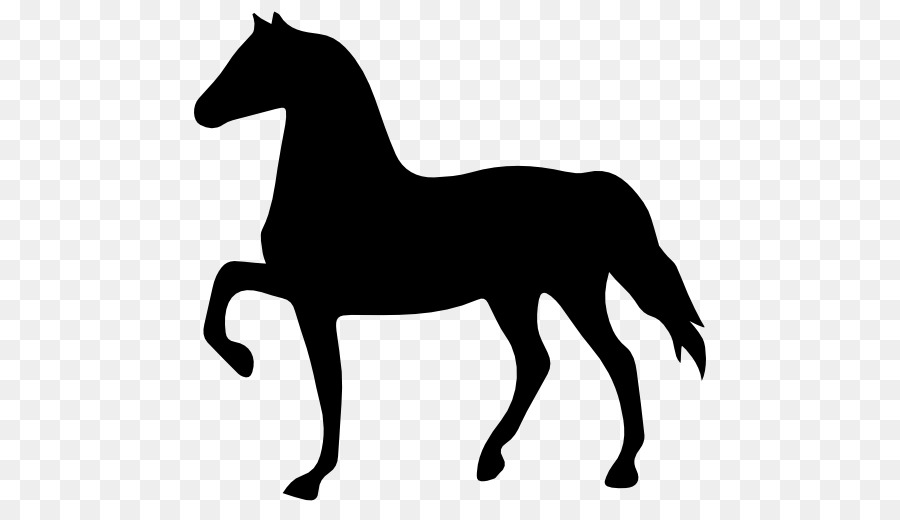 Cheval Noir，Silhouette PNG