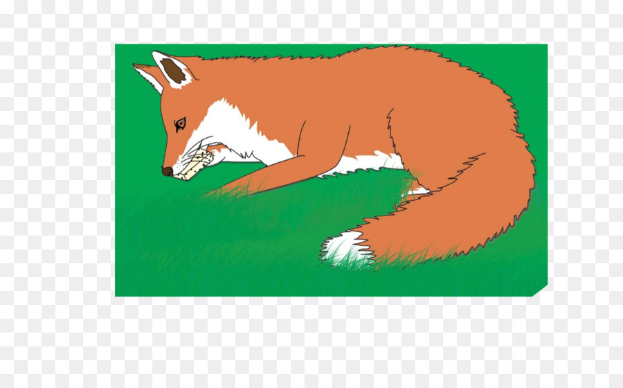 Renard Rouge，Le Renard Et Le Corbeau PNG