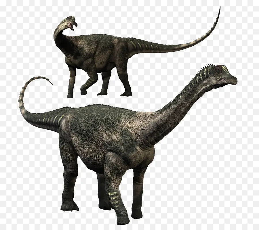 Velociraptor，Antarctosaurus PNG