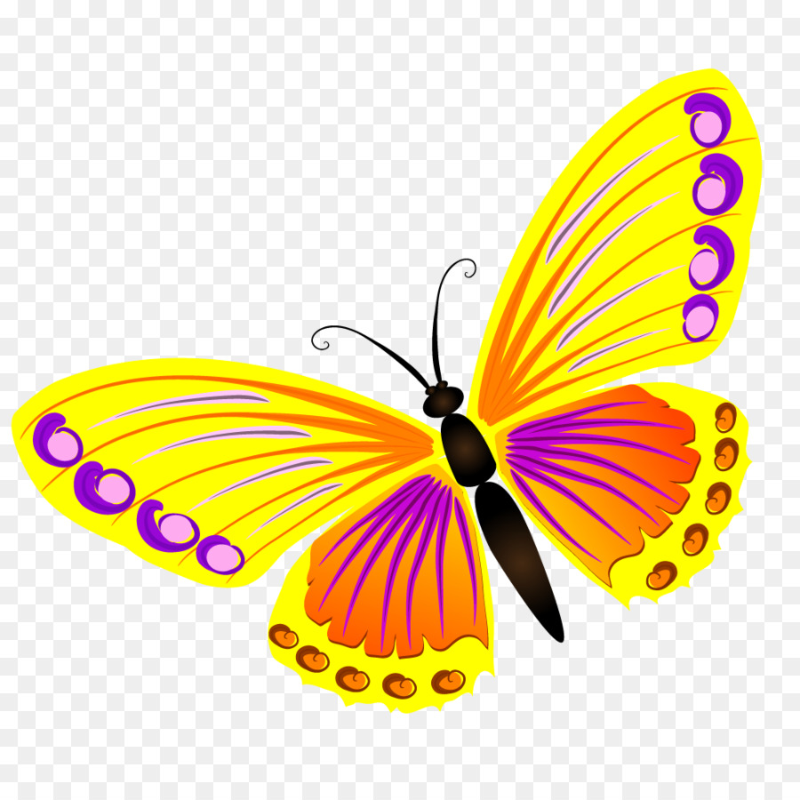 Papillon，Ailes PNG