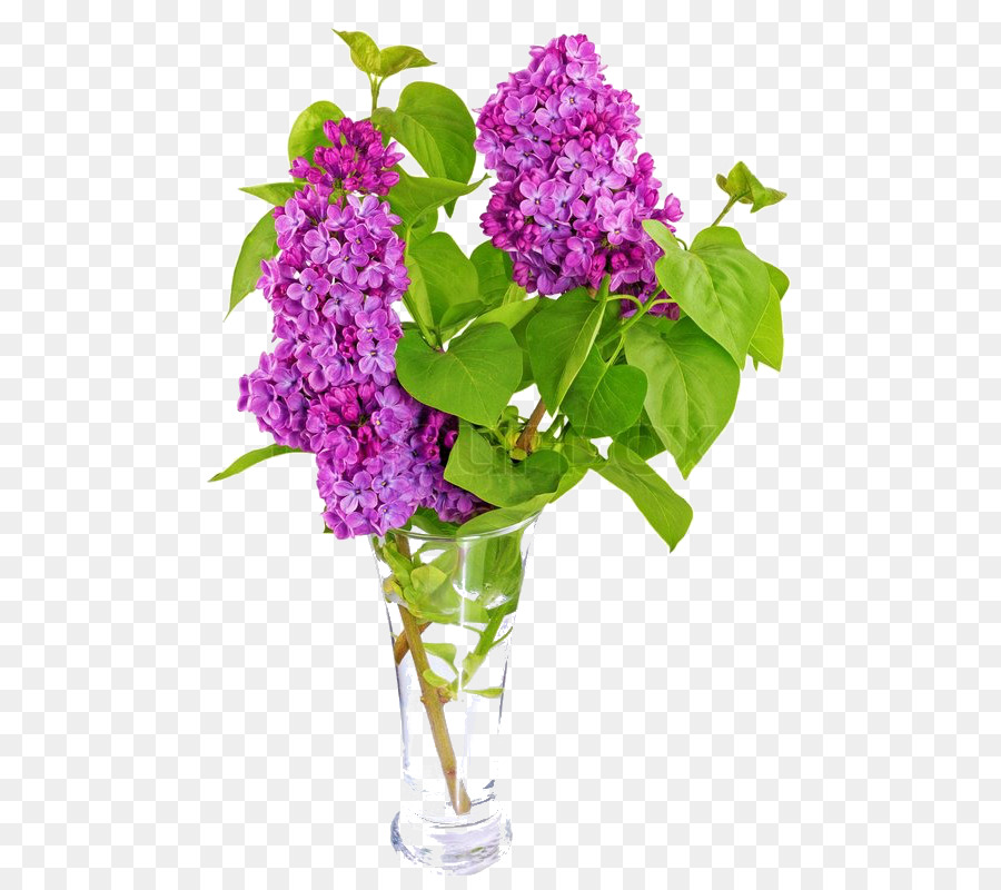 Bouquet De Fleurs，Vase PNG