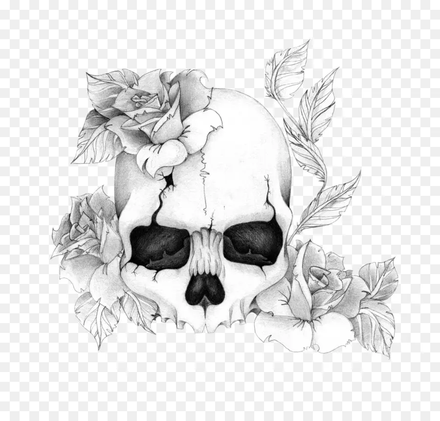 Crâne Humain Symbolisme，Rose PNG