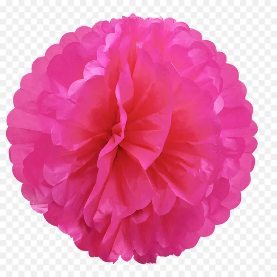 Pompon Rose，Duveteux PNG