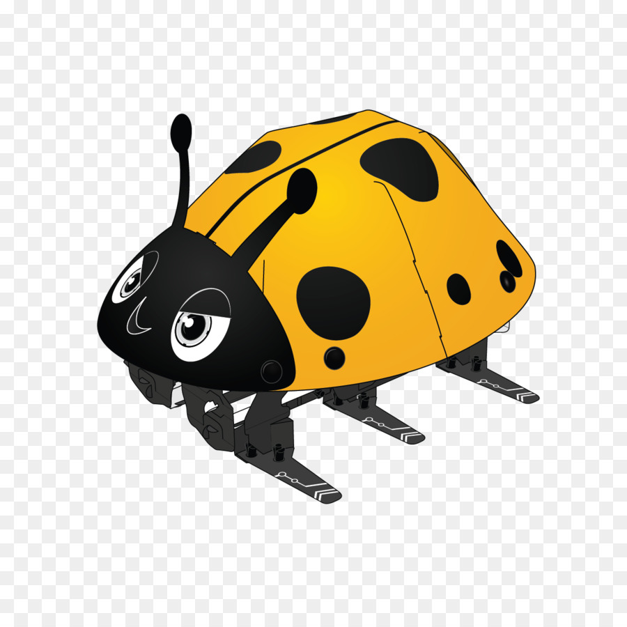 Coccinelle Mignonne，Bogue PNG